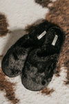 Flora Nikrooz Victoria Teddy Slipper